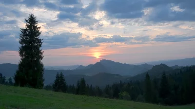 Golden Sunset Over Forested Mountain Range with Prominent Pine image