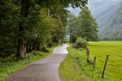 Winding Mountain Road Through Lush Green Alpine Forest Landscape image