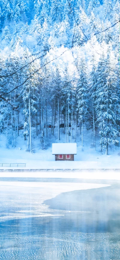 Cozy Wooden Cabin by Frozen Lake Surrounded by Snow-Covered Forest