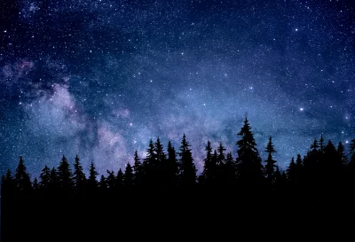 Luminous Milky Way Galaxy Over Dark Pine Forest Silhouette image