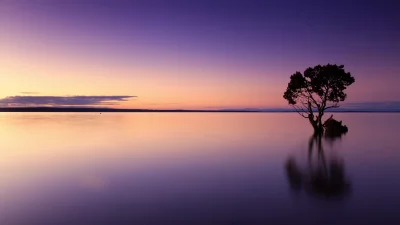 Tranquil Sunset with Solitary Tree in Purple and Orange Water image