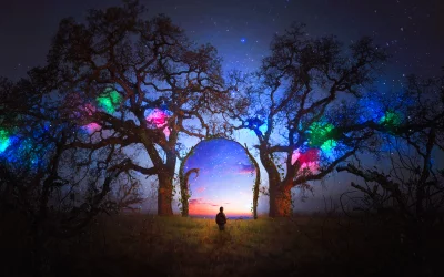 Lone Figure Enters Magical Tree Portal to Vibrant Sunset Under Starry Night image