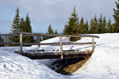 Rustic Wooden Bridge in Snowy Winter Mountain Landscape with Evergreen Trees image