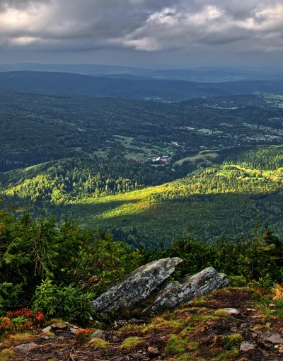 Dramatic Mountain Valley Landscape with Sunlit Forests and Cloudy Sky image