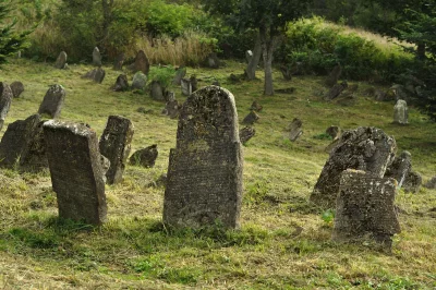 Ancient Moss-Covered Gravestones on a Grassy Hillside in a Serene, Historic Cemetery image