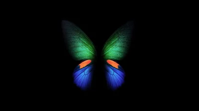 Vibrant Butterfly Wings Abstract Art on Dark Black Background image