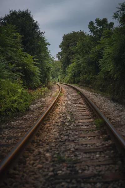 Lone Figure Walks Along Remote Train Tracks Lined with Lush Greenery