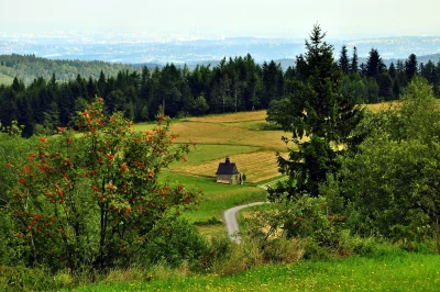 Scenic Mountain Valley with Quaint Chapel, Winding Road, and Vibrant Nature image