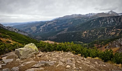 Vast Mountain Landscape with Overcast Sky, Rocky Foreground, and Pine Forests image
