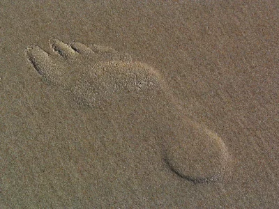 Single Human Footprint Impression on Wet Beach Sand image