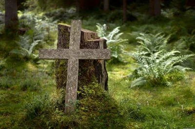 Rustic Wooden Cross Amidst Lush Green Forest Undergrowth image