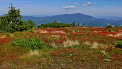 Vibrant Autumn Mountain Landscape with Red Bushes and Distant Peaks Scenic Nature View image