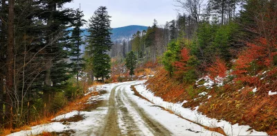 Snowy Mountain Forest Road Winding Through Winter Pine Trees Under Cloudy Sky 9500 image