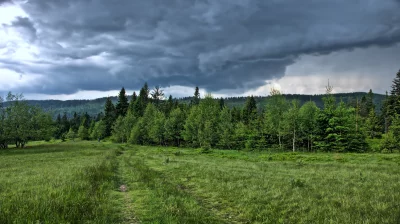 Dramatic Storm Clouds Looming Over Lush Green Forest and Meadow Landscape image