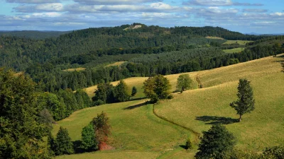 Rolling Green Hills, Dense Forests, and Winding Paths Landscape image