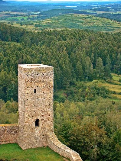 Ancient Stone Watchtower Overlooking Expansive Green Forest Valley Landscape image