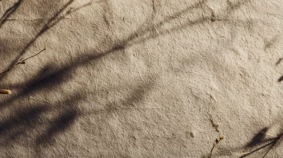 Rustic Beige Paper Texture with Delicate Branch Shadows and Soft Sunlight