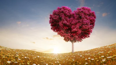 Romantic Heart Shaped Tree with Pink Leaves in a Golden Meadow at Sunset image