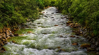 Rapid Forest River Flowing Through Lush Green Valley with Rocky Banks image