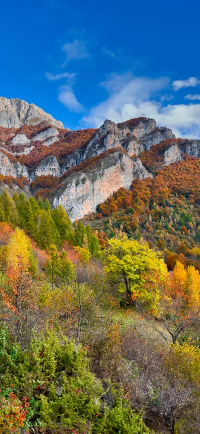 Vibrant Autumn Mountain Landscape with Colorful Trees and Rocky Peaks