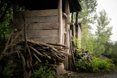 Rustic wooden structure with stacked firewood and lush greenery
