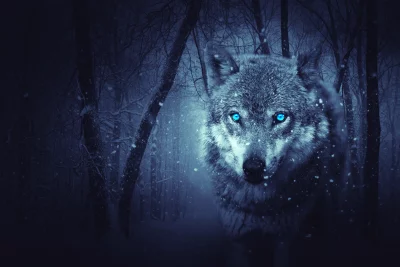 Digital Art Portrait of a Fierce Wolf with Piercing Blue Eyes in Snowy Forest image