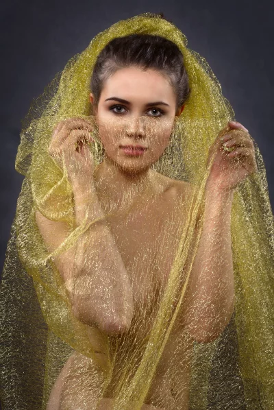 Mysterious Beauty Draped in Glimmering Gold Fabric Portrait image