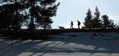 Silhouettes of People and Dog Walking on Snowy Hillside at Sunset image