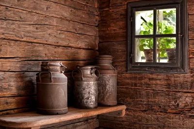 Rustic Cabin Interior with Vintage Milk Churns and Window Plants image