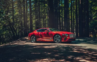 Stunning Red Bentley Continental GT Coupe in a Sun-Dappled Redwood Forest image