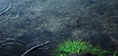 Raindrops Creating Ripples on Dark Water Surface with Lush Green Grass image