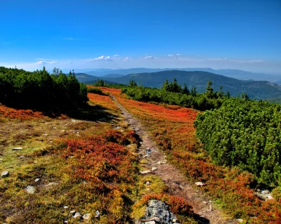 Vibrant Autumn Mountain Trail Cinematic Landscape Wallpaper Scenic View image