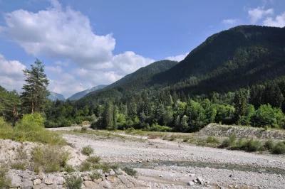 Rocky Alpine Riverbed with Lush Forested Mountains and Clear Blue Sky image