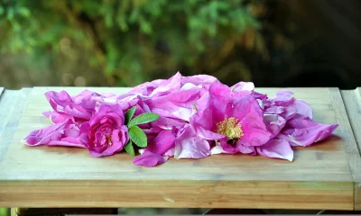 Delicate Pink Rose Petals and Fresh Blooms on Natural Wooden Tray image