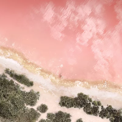 Aerial View of Stunning Pink Lake with Lone Person on Vibrant Sandy Shore image