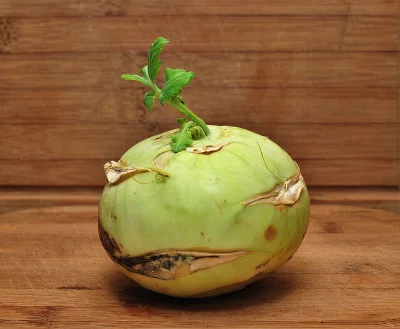 Fresh Green Kohlrabi Bulb with Leafy Greens on Rustic Wooden Background image