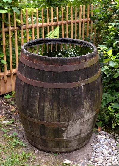 Rustic Wooden Barrel Rain Collector in Lush Garden Setting image