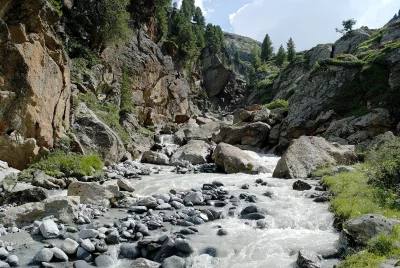 Fast-flowing mountain river cascading through rugged rocky valley with pine trees under bright sky image