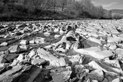 Monochromatic Rocky Riverbed Flowing Through Barren Winter Forest Landscape image
