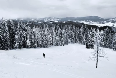 Solitary Figure Trekking Through Expansive Snowy Mountain Forest Landscape image