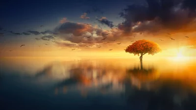 Magical Autumn Tree Reflection at Golden Sunset with Flying Birds image