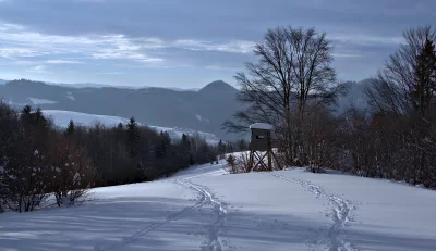 Secluded Winter Hunting Tower in Snow-Covered Mountain Forest image