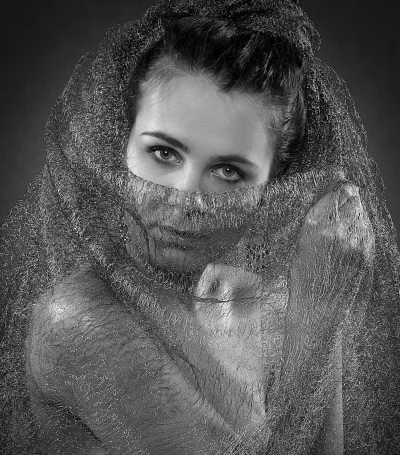 Mysterious Black and White Portrait of an Elegant Woman Behind Sparkling Mesh Veil image