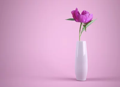 Elegant Single Purple Peony Bloom in White Vase on Soft Pink Background image