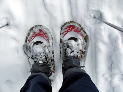 First-Person View of Snowshoes and Trekking Poles in Deep Winter Snow image