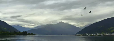 Three Birds Flying Over Serene Mountain Lake Landscape Under Cloudy Sky image