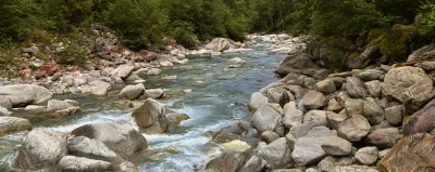 Scenic Mountain River Flowing Through Rocky Forest Valley in Summer image