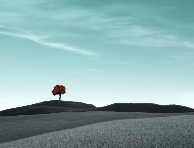 Vibrant Red Tree on Minimalist Grayscale Landscape Under Expansive Cyan Sky image