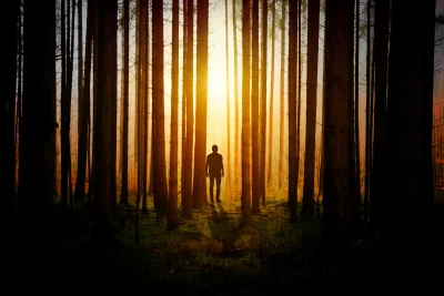 Solitary Figure Silhouetted by Golden Light in a Mystical Forest image