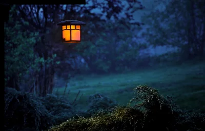 Warm Glowing Lantern Amidst a Mystical, Misty Night Forest Scene image